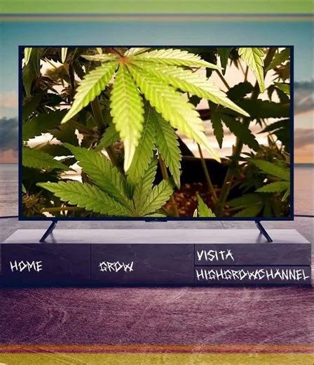 bruce banner 3 #11 #grow #dokumentation