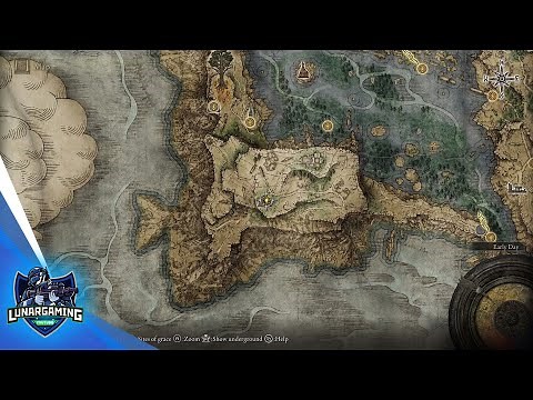 How Do You Reach The Cathedral of manus Celes Elden Ring