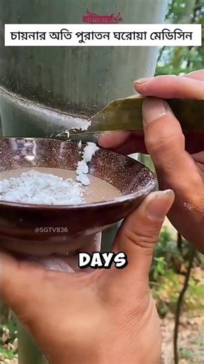 How chinese people used bamboo powder as medicine #bamboo #medicine