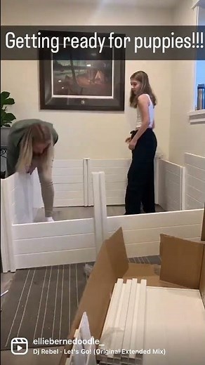 Building a Whelping Box