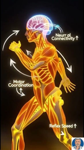 Cross Crawling Exercise – Boost Brain Coordination, Nervous System Activation, Full Body Control 🧠