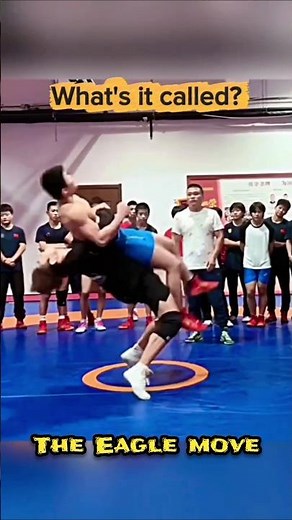 The eagle attack #streetdefence #muaythai #mma