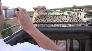 Ambitus school siddipet on Reels