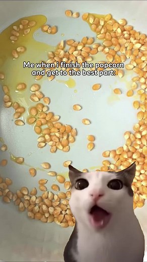 Crunchy Cat Popcorn Eating Meme