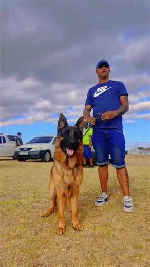 Prestige German Shepherd Club Breed Show Highlights