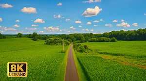 12K HDR ULTRA HD at 240FPS – Dolby Vision™ Demo for Elite 4K & 8K TV Calibration