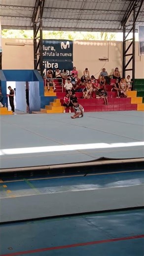 Gimnasia Artística Masculina 4