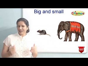 Big vs Small | Concept big and small | Comparison for kids | Concept for pre school | Pre Nursery |