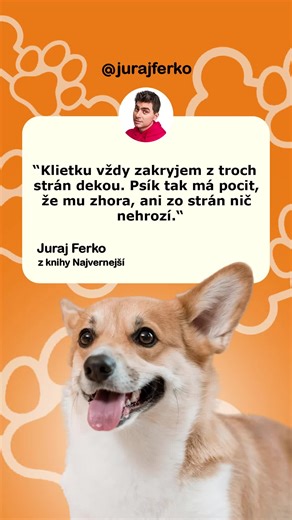 Ako premeniť klietku na útulný brloh pre psa