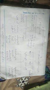 component of blood #telugusongs #trailer ###