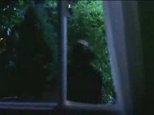 Brinks Home Security Commercial Spot #2