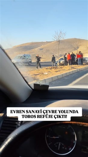 Urfa Doğru Haber on Instagram: "Evren Sanayi çevre yolunda Toros marka bir araç sürücüsü direksiyon hakimiyetini kaybedince refüje çıktı. Kazada maddi hasar meydana geldi. . . #kaza #refüj #urfa #evrensanayi #keşfet #sondakika #haber"