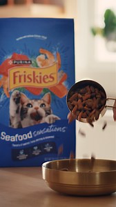 See the world from your cat’s perspective and serve up the best in the bowl! | Purina Friskies