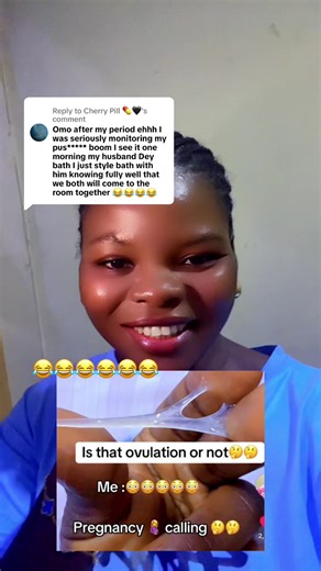 Understanding The Shape Experts with Cherry Pill