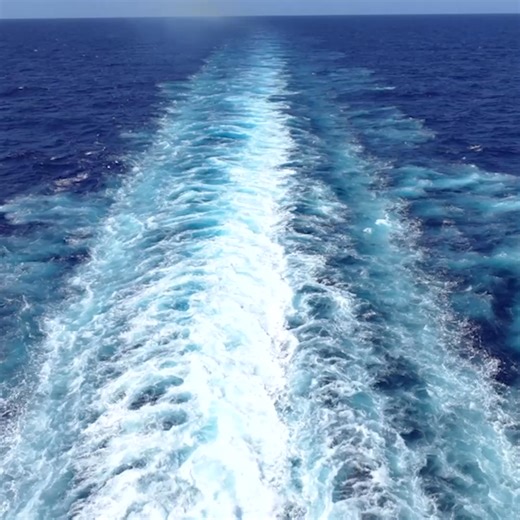 Soul Train Cruise 2.0 Sets Sail Fall 2026! Missed out on past cruises? We've got you covered! Join us for: • 50 LIVE performances • Legendary artists: Johnny Gill, En Vogue, The Temptations & more! Don't miss the boat - book your cabin now before they're gone! | Soul Train Cruise