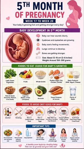 👶 5th Month Pregnancy Guide | Baby Growth Week 17-20 & Healthy Pregnancy Tips 🤰✨