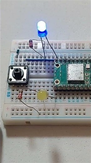 Raspberry Pi Pico W Alternating LED Controller with Speed Button