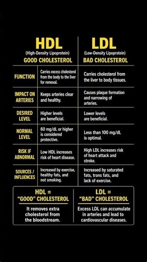 HDL vs LDL Cholesterol Explained: Good vs Bad Cholesterol