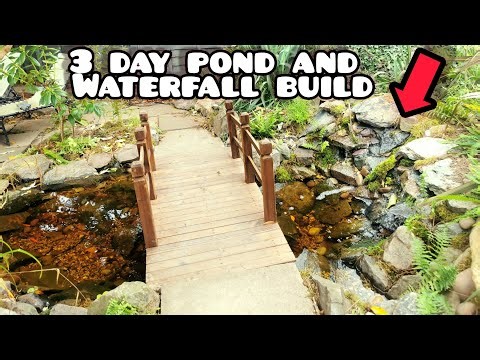 How I Built A Small Pond And 3 FOOT WIDE WATERFALL And Bridge in Just 3 Days | Poposoap