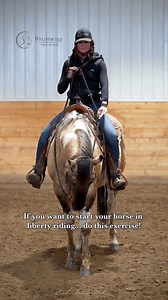 Remember the 'invisible reins' video? Here's how you get started 👀 | ProHorse Training