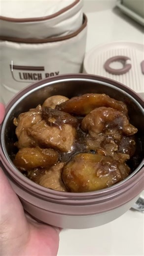 Insulated Lunch Box with Bag for Students and Workers