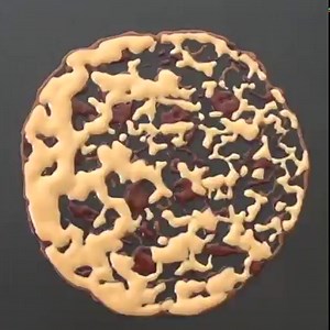 893K views · 10K reactions | FAST FOOD is on the menu today! | TigerTomato | Facebook