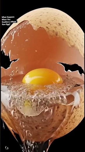 What Happens When You Swallow a Whole Raw Egg? | 3D Human Body Animation