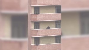 Heart-stopping moment man who leaps from the 11th floor is saved at the last moment