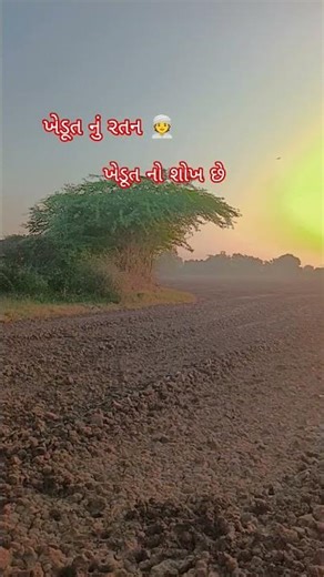 ખેડૂત પુત્રને લાઈક કરો સબ્સ્ક્રાઇબ કરો અને આગળ વધારો વિડિયો