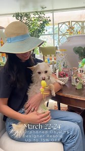 16 reactions | Spring Season Sale is coming up March 22-24 at Orphaned Objects Designer Resale! If thrifting is your passion, stop by to find and arrangement of clothes, shoes, accessories, housewares and furniture at great discounted prices + when you shop at Orphaned Objects 100% of your purchase benefits the pets and programs at Helen Woodward Animal Center. | Helen Woodward Animal Center | Facebook