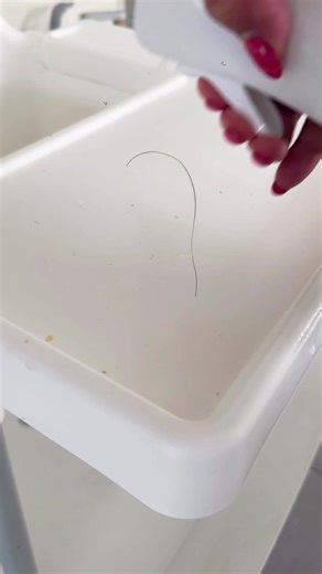 Effective Cleaning Tips with Cif Products