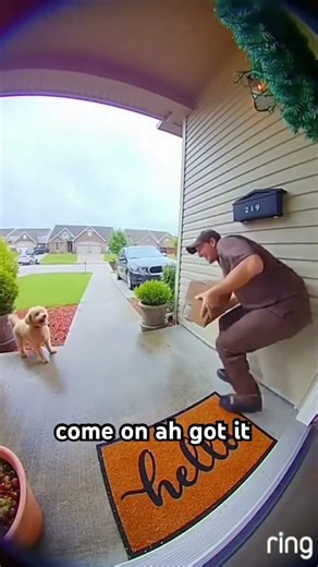 Delivery Driver Got The Element Of Surprise 😮