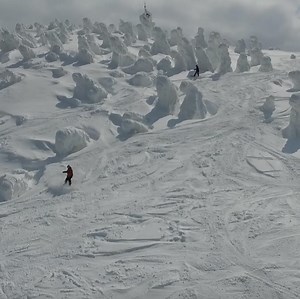 7.9K views · 89 reactions | Ski avoiding snow monster!! Please visit us for more articles. https://wow-u.jp/media | WOWU-media | Facebook