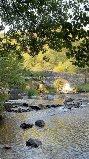 Somewhere I’d Happily Spend an Autumn Afternoon 🍂 | Fingle Bridge