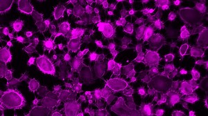 Physics of Life - Cavendish Laboratory Department of Physics