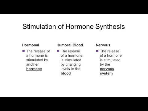chap 17 - Endocrine - part 1