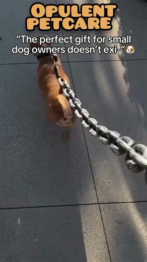 POV: Your tiny dog is built different 😂⛓️🐾This simulation iron chain leash just changed the game 👀🎃