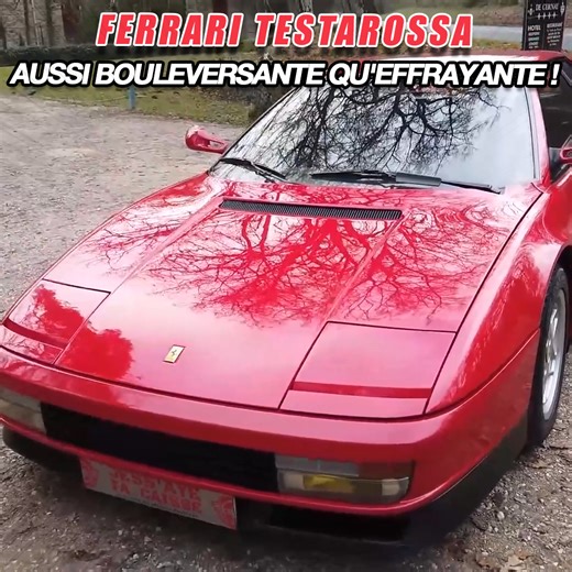 135K views · 1.3K reactions | Une Ferrari de 2M de large  | JESSICA PAUPINAT | Facebook