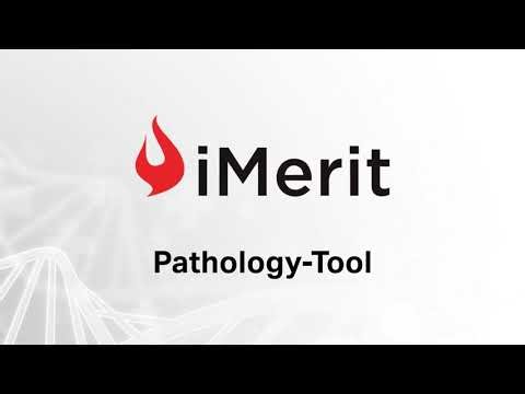 AI-Powered Pathology Annotation Tool | Digital Pathology Data Solutions by iMerit
