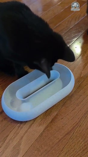 3D Printed Cat Toy! Will My Cat Go Crazy For It