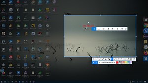 plsql如何查看表格的内容以及字段属性