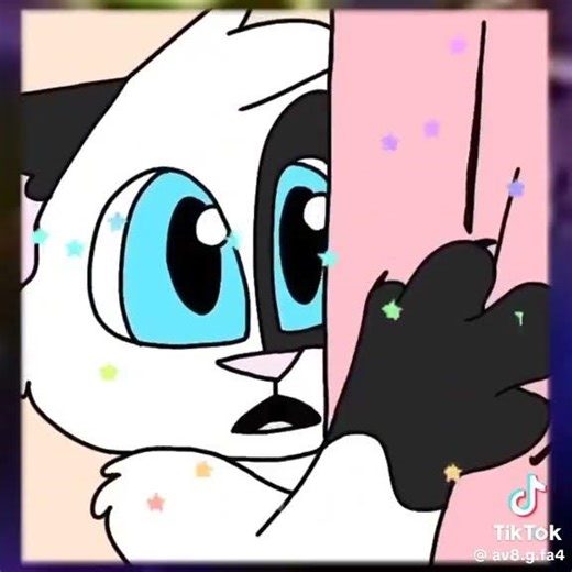 pip the cat edit#pip#cats