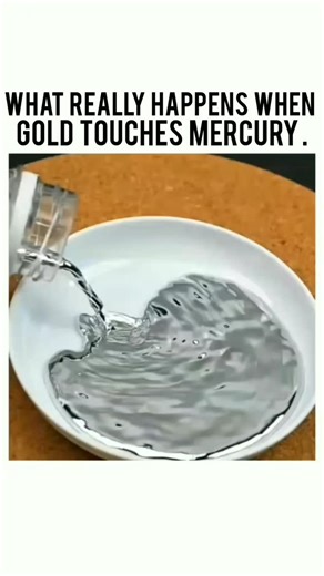T3k Facts on Instagram: "When gold comes in contact with mercury, something fascinating happens — they form a soft, silvery mixture called amalgam. Mercury easily dissolves gold, breaking its solid surface and bonding at the atomic level. This reaction has been used for centuries in gold extraction and refining, though it’s highly toxic and dangerous without proper safety precautions. The mercury–gold amalgamation process shows how reactive mercury can be, even with noble metals like gold. Watch