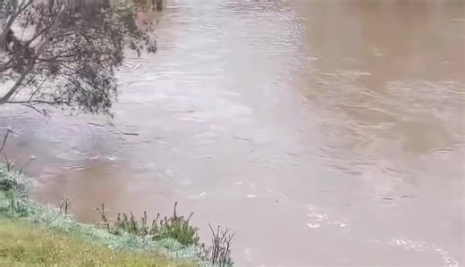 Maribyrnong River at Keilor. Floods of October 2022 Video by Michael Robinson | Victorian Creeks and Rivers; Friends of Deep Creek