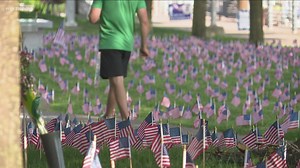 7,300 flags blanket grounds of Buffalo Naval Park