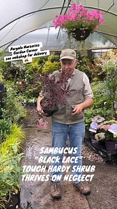 10K views · 219 reactions | #addWEB-SHOP ....