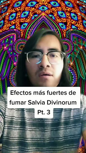 Efectos de Salvia Divinorum: Experiencias y Beneficios