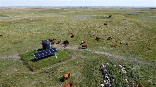 Audubon Great Plains rolling out new phase of Prairie Management Toolbox in North Dakota