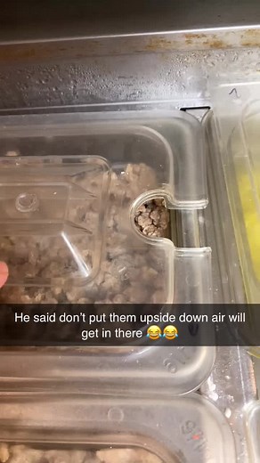 Raggedy Ann (@raggedyann08)’s videos with Circus Music - The Hit Crew Kids