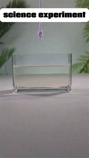 Practical life hacks ❤️ #foryou #life #lifetips #LifeHack #lifehacks #fypシ | Smart Tricks Compilation